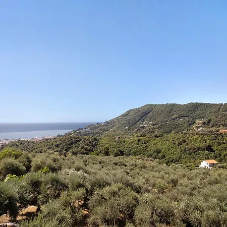 I Girasoli 阿拉西奥