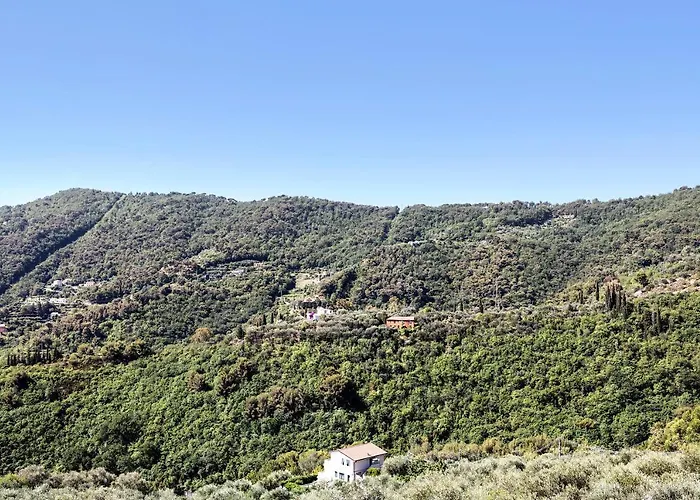 I Girasoli 阿拉西奥